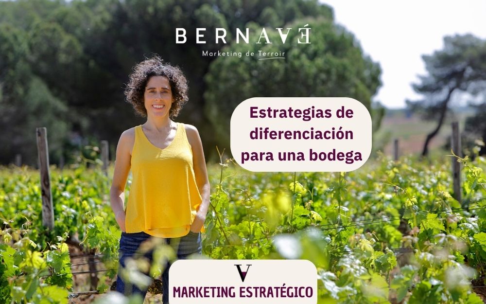 Estrategias de diferenciación para una bodega