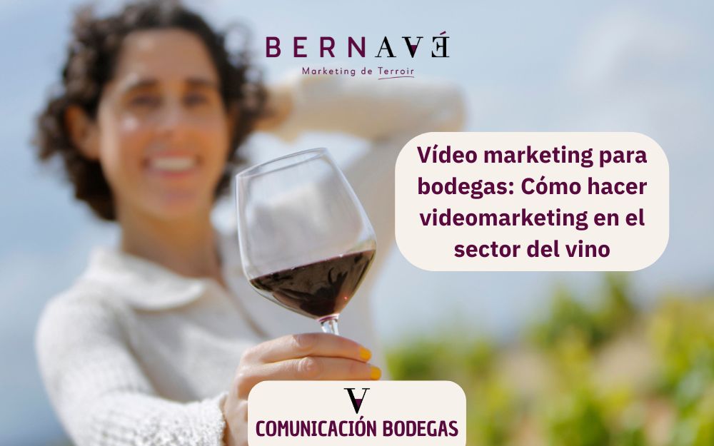 Vídeo marketing para bodegas_ Cómo hacer videomarketing en el sector del vino