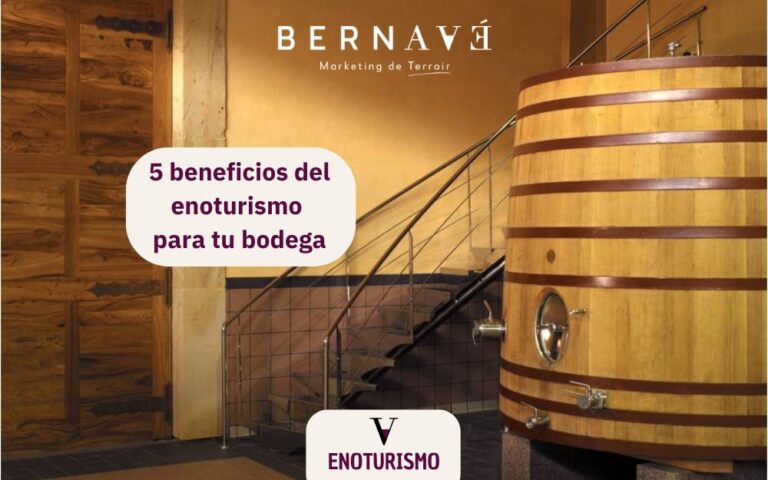 5 grandes beneficios del enoturismo para tu bodega