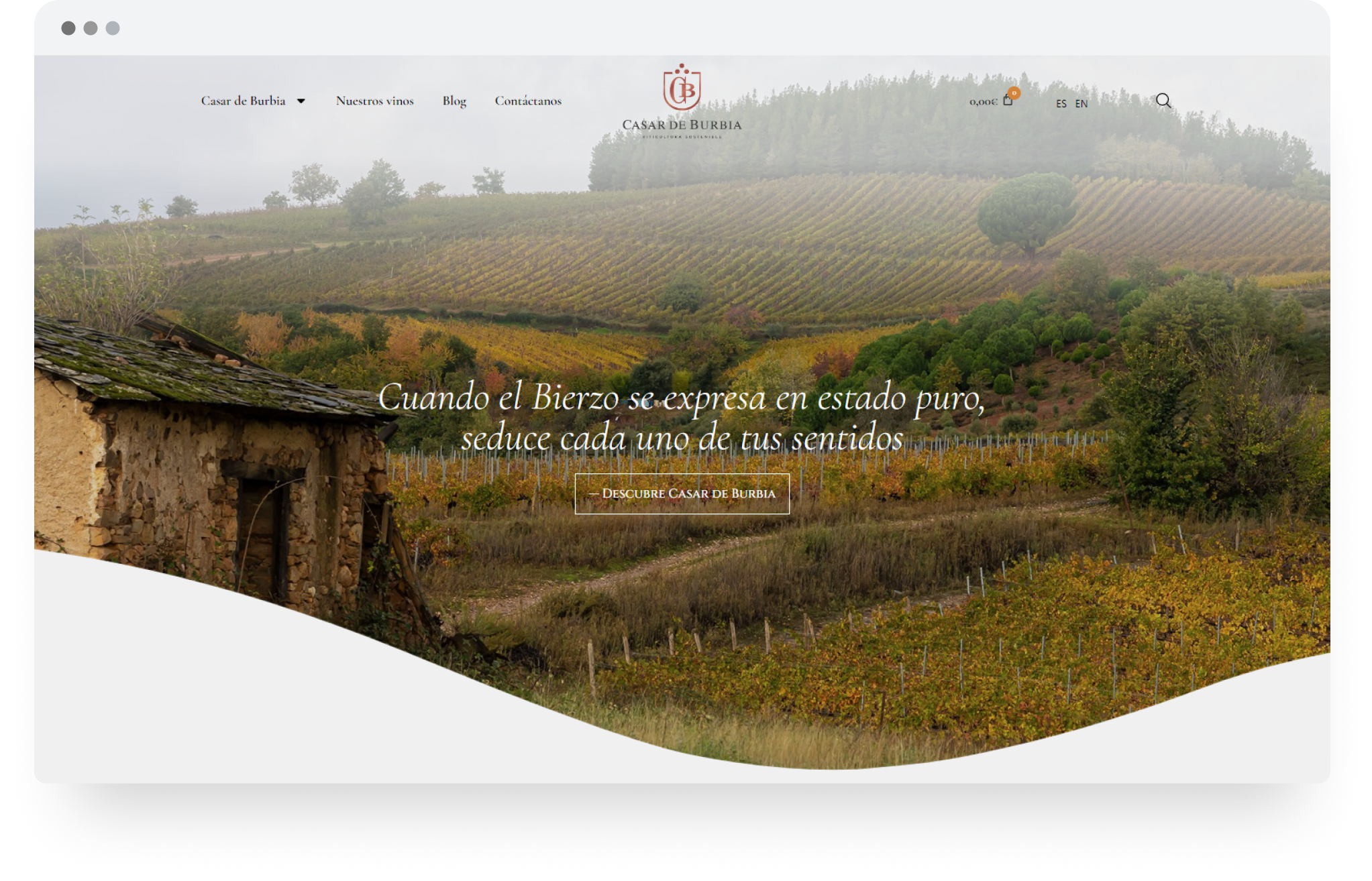 casar-de-burbia-diseno-web-bodega-vino