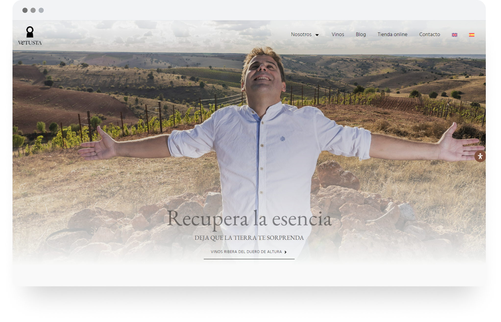 bodegas-vetusta-diseno-web-3