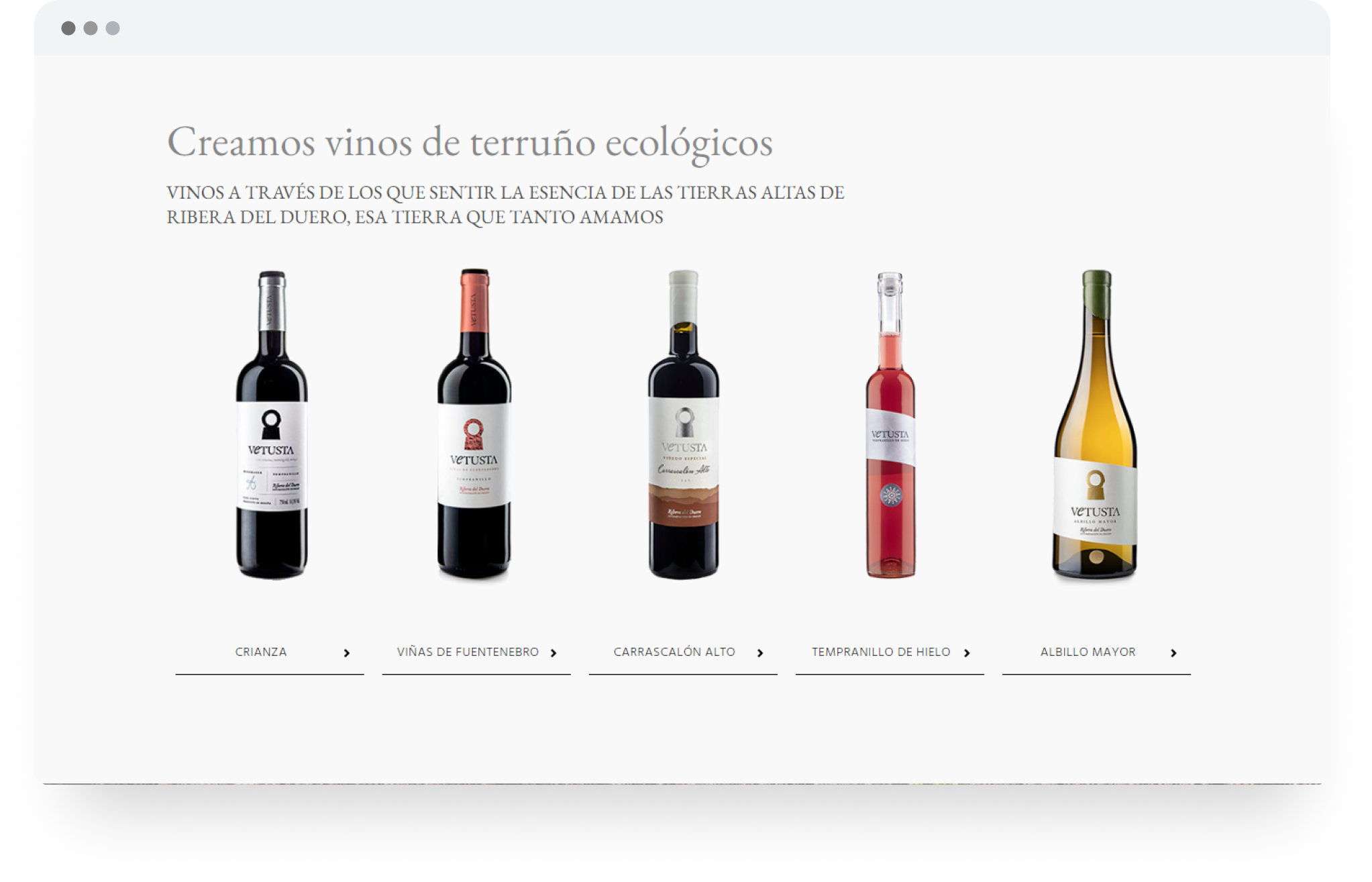 bodegas-vetusta-diseno-web-4