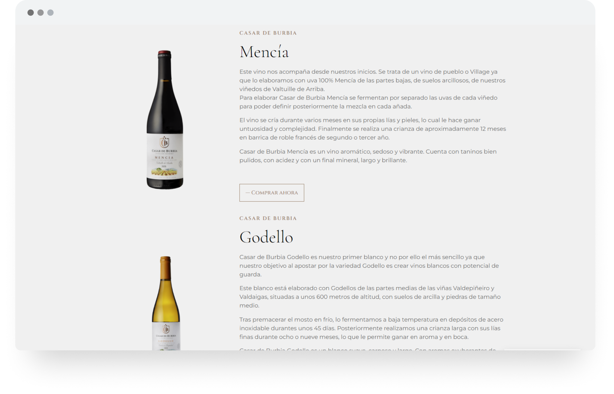 casar-de-burbia-diseno-web-bodega-vino-2