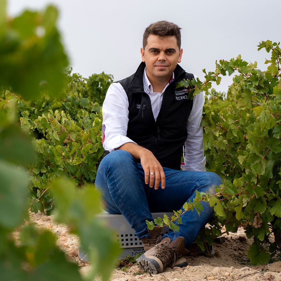 Pedro Ruiz CEO Alma Carraovejas en Bernabe Talks